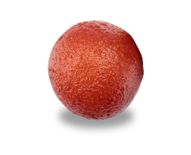 Gulab Jamun (1)